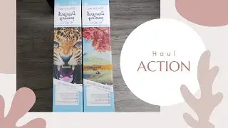 Haul DP Action 40x60