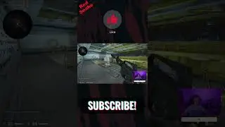 Военные морские свинки CS:GO