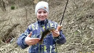 Ротобас следом.