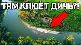 ДИКИЕ МЕСТА ПРЕКРАСНЫ! Такая рыбалка бывает РЕДКО! Ловля язя и леща на донки.