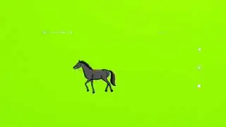 horse walking...no copyright...