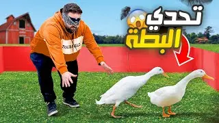 أتحداك تمسك البطة 😂