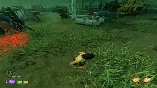 blight main