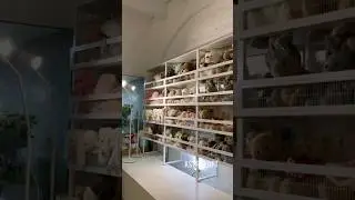 Стеллаж лофт для магазина цветов в Астрахани Жан Поль #стеллаж #стеллажлофт #astraloft #астралофт