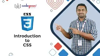 Introduction to CSS | Understanding the Importance of CSS | FrontendPlaylist