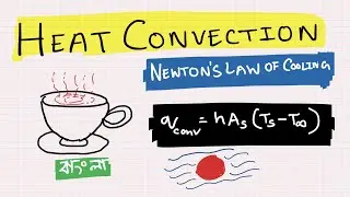 Heat Convection, Newton's Law of Cooling and Heat Transfer Coefficient | Lecture in Bangla