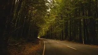 [ASMR] Binaural Creepypasta: The Coral Ridge Bypass