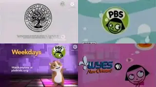 PBS Kids Program Break #8 (WYES-DT1 2012)