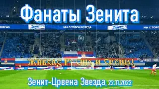 Фанаты Зенита _ Зенит-Црвена Звезда (1 тайм)  22.11.2022