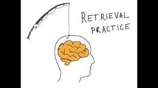 Exam Series: Retrieval Practice