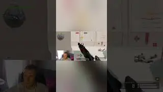 А говорят звуки в игре плохие 