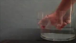 Buoyancy cool science project