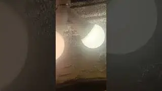 Подсветка для рассады - 3 бюджетных варианта