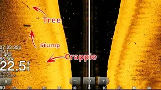 How to use Side Imaging to Find Crappie in the summer