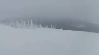Салма 12.01.2023 раннее утро
