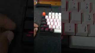 free MS office برامج مايكرو سوفت اوفيس مجانا