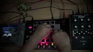 Rhythm Wolf thru TP-2 and Moogerfooger MuRF (Steel Wall Wizard)