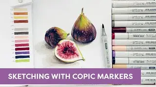 Drawing Figs with COPIC MARKERS | Time-lapse