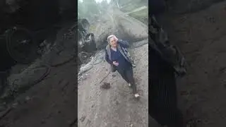 Родные