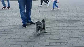 28 сентября 2019 г.