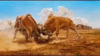 ልብን የሚማርክ የአዝማረ ማሲንቆ Masinko azmari