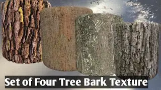 Tree Bark 4K Seamless Texture Download | Set of Four High-Quality PBR Texture Download for Free