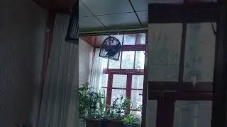21 ноября 2022 г.