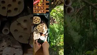 Insektenhotel bauen 🐝 Wildbienen Nisthilfe aus Holzkisten 🤩 #garten #gartenideen #diy #wildbienen