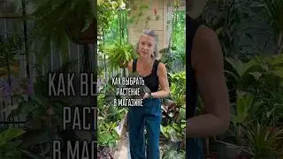 КАК ВЫБРАТЬ 🪴В МАГАЗИНЕ/ больше пользы в моем тг t.me/spottykit