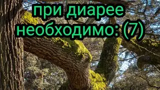 При диарее необходимо:7 Как лечить диарею (понос) Лекарственные травы и растения. Народная медицина.