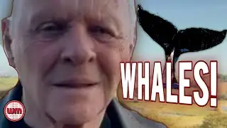 Anthony Hopkins' Oscar | Wales & Whales