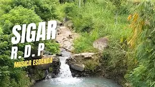 Sigar - R. D. P || Jalan Santai