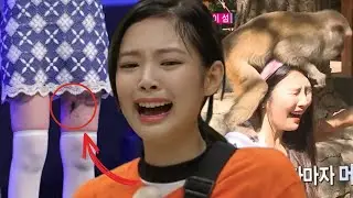 Idols Who Were Attacked By Animals In KPOP