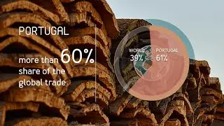 PORTUGAL - World leader in the Cork Sector