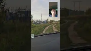 Куропатки