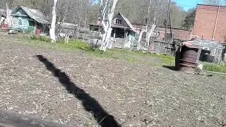 Вызываем бешеного умершего пса