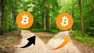 BITCOIN E LA RASCRUCE