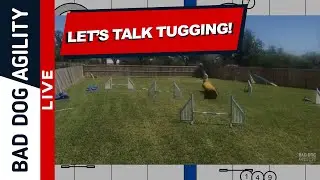 Let's Talk Tugging!