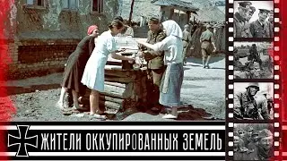 Украина, жизнь на оккупированной территории / Ukraine, life in the occupied territory