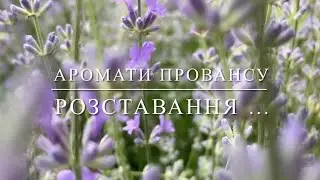 Аромати  провансу  . Розставання …