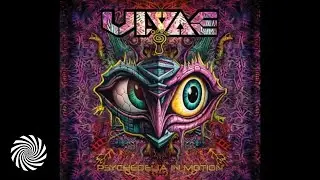 Ulvae & Metaphyz - Such Insects