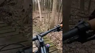 Massive Bridge at Oak Openings