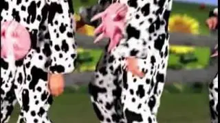 PW mino HSS vacas