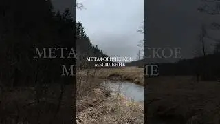 Зачем развивать метафорическое мышление?