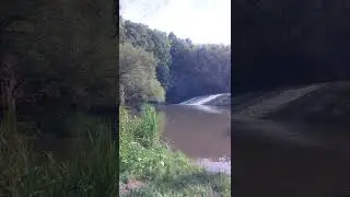 Какова же красота 