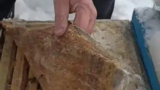 Как перезимовали пчёлы под снегом? Результат ожидаемый.