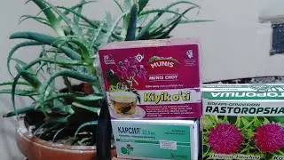 Жигарни табий тозалаймиз! Жигар касалликларида энг керакли гиёхлар