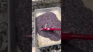 The best layered dessert recipe