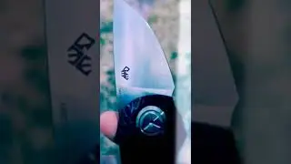 #shorts #kizer #ferumforge #twosun #knivescollection #shortvideo #daily #carry #knives #sko