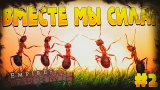 Прохождение Empires of the Undergrowth \ ВМЕСТЕ МЫ СИЛА! \ #2